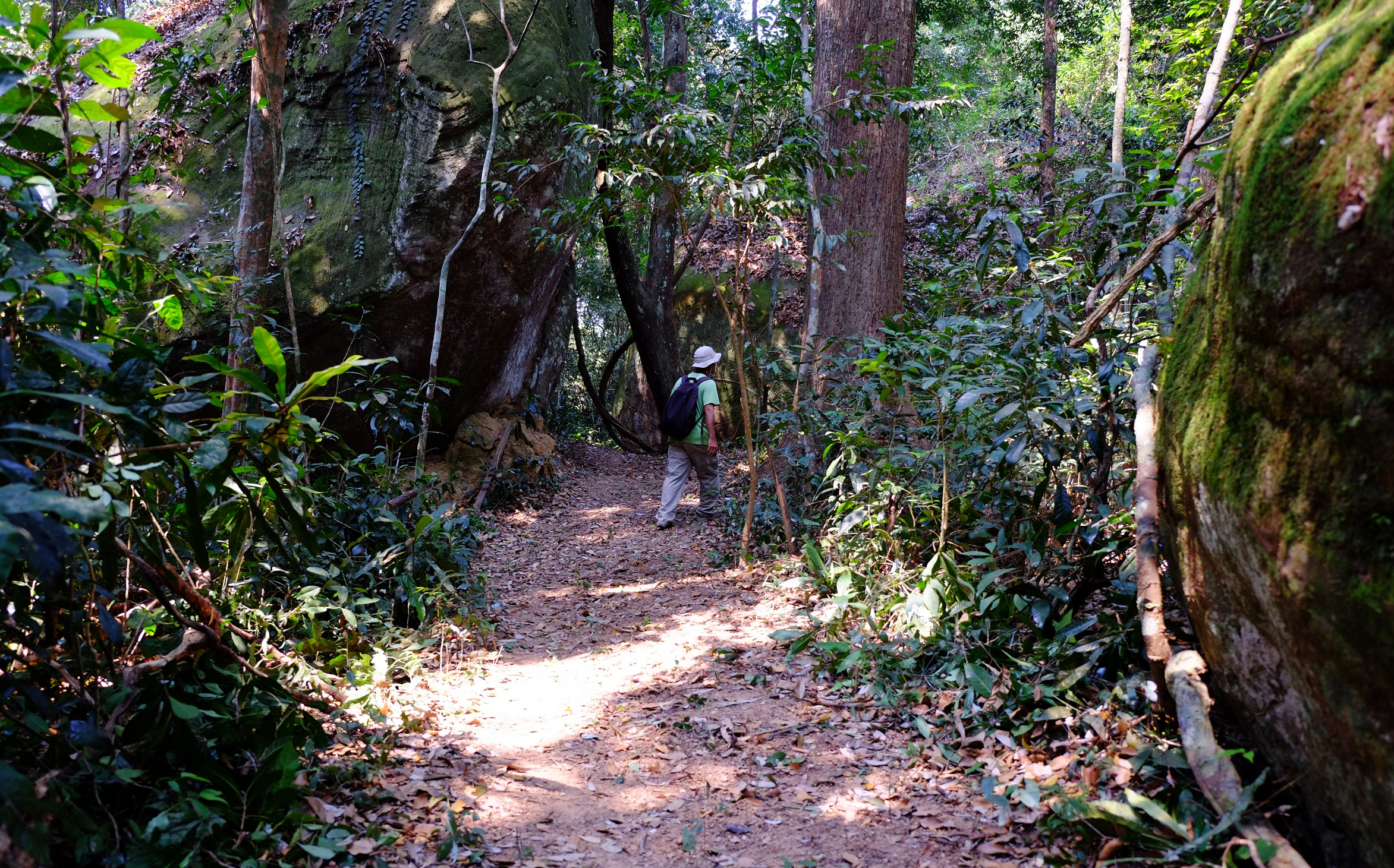 Cambodia tour Mountain Park hiking biking jungle